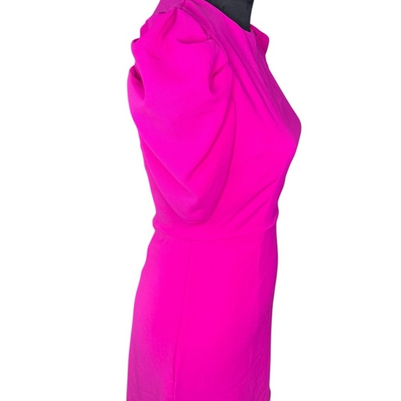 TCEC Pink Puff Sleeve Crew Neck Mini Dress - Picture 5 of 7